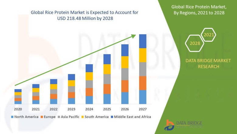 Rice Protein Emerges as a Sustainable Alternative to Animal-Based Protein
