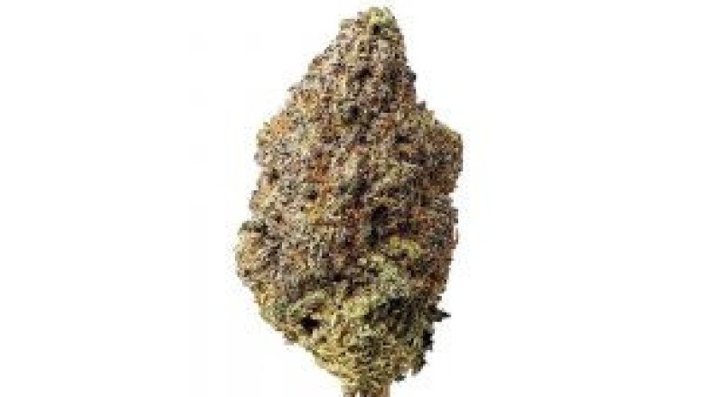 Medi Kush AA