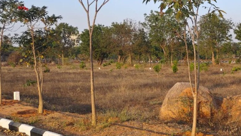 A Guide To Regulatory Requirements For Open Plots In Pharma City