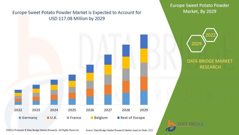 Europe Sweet Potato Powder Market Key Facts, Size, Dynamics, Segments and Forecast Predictions