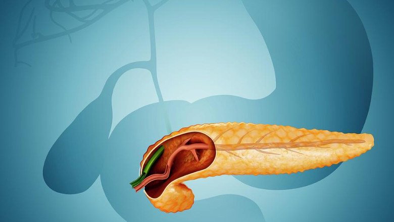 Global Exocrine Pancreatic Insufficiency (EPI) Therapeutics Market : Share, Size, Growth, Opportunity, and Forecast 2022-2028