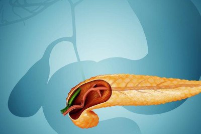 Global Exocrine Pancreatic Insufficiency (EPI) Therapeutics Market : Share, Size, Growth, Opportunity, and Forecast 2022-2028