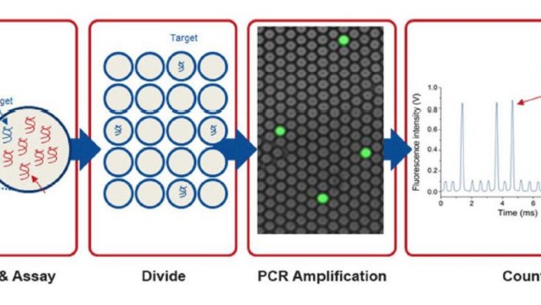 Polymerase Chain Reaction Is A Widely Used Molecular Biology Technique That Amplifications Specific DNA Sequences