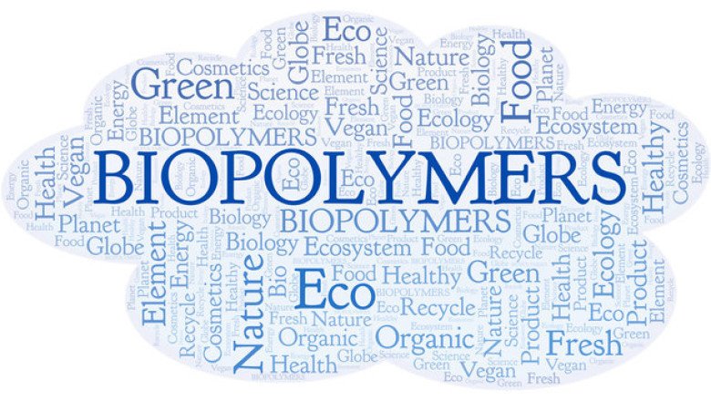 Biological Polymers Are Biopolymers Made By Living Organisms