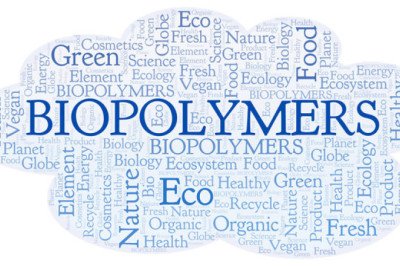 Biological Polymers Are Biopolymers Made By Living Organisms