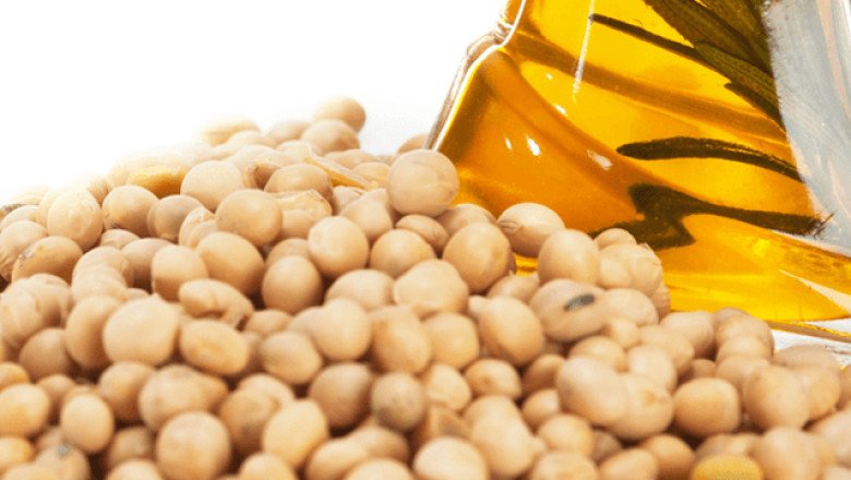 Soy Lecithin Market Modern Trends, Top Regions and Latest Entries Forecast 2028