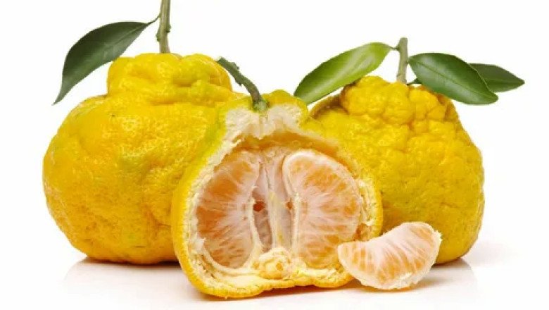 The Advantages Of Eating Ugli Fruit