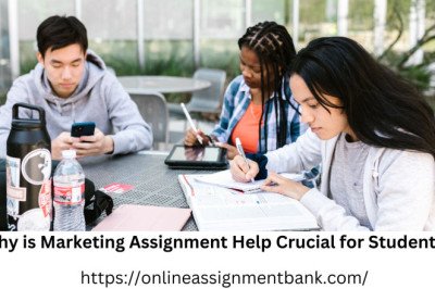 Why is Marketing Assignment Help Crucial for Students?
