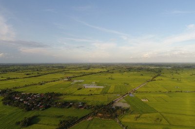 When Is the Best Time to Buy Cheap Plots in Kenya?
