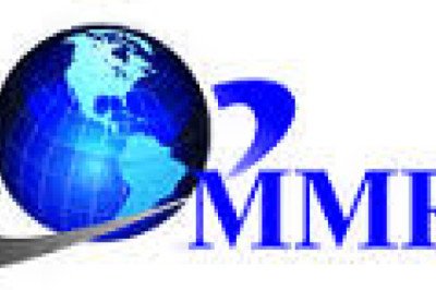 Market Dynamics and Key Drivers of the Global Metallic Stearates Industry
