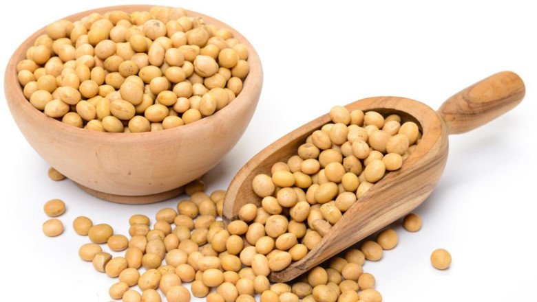 Soy Lecithin; It Is Derived From Soybeans And Is An Organic Phospholipid