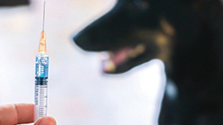 Rabies Vaccines Are Used To Prevent Infection By The Rabies Virus