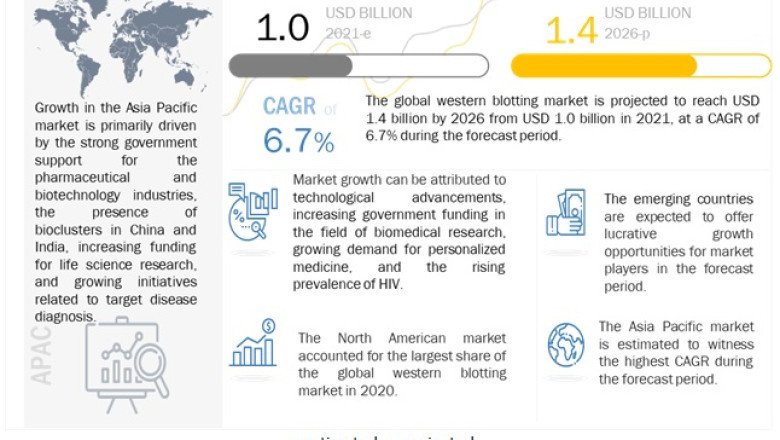 Western Blotting Market Study of Key Players, Profile and Dynamics By 2026