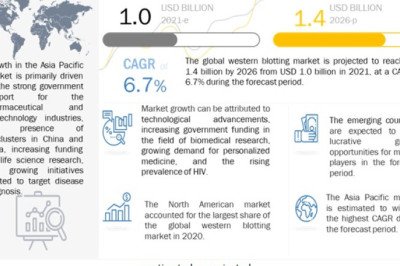 Western Blotting Market Study of Key Players, Profile and Dynamics By 2026