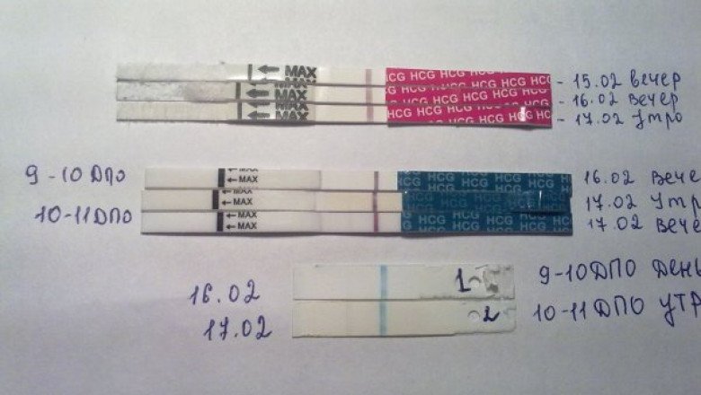 Human Chorionic Gonadotropin (HCG) Market Business Opportunities, Current Trends, Challenges and Market Analysis 2030