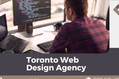 Web Design Agency Toronto | Top Digital Agency | Eccentric Business Intelligence