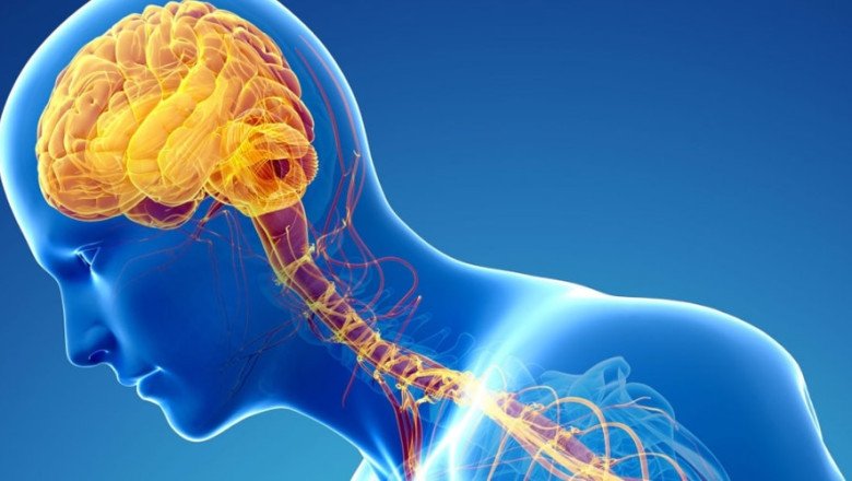 Parkinson’s Disease Therapeutic Market: Key Players and Competitive Landscape