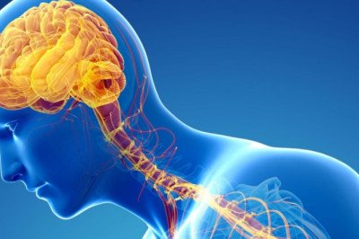 Parkinson’s Disease Therapeutic Market: Key Players and Competitive Landscape