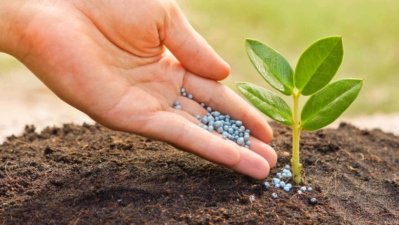 The Future of Chelated Iron Agricultural Micronutrient Market: Trends to Watch