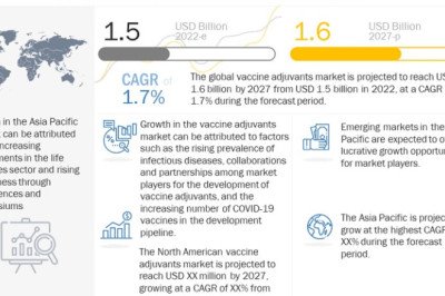 Vaccine Adjuvants Market Size, Prominent Players and Key Figures Reviewed in Latest Research Report 2022-2027