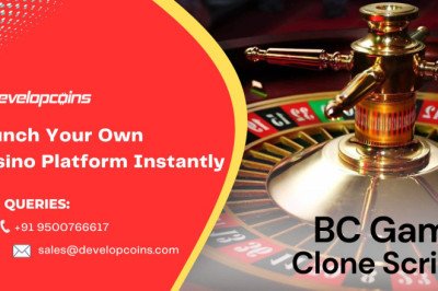 What to Look for in a BC Game Clone for Your Casino Game Launch?